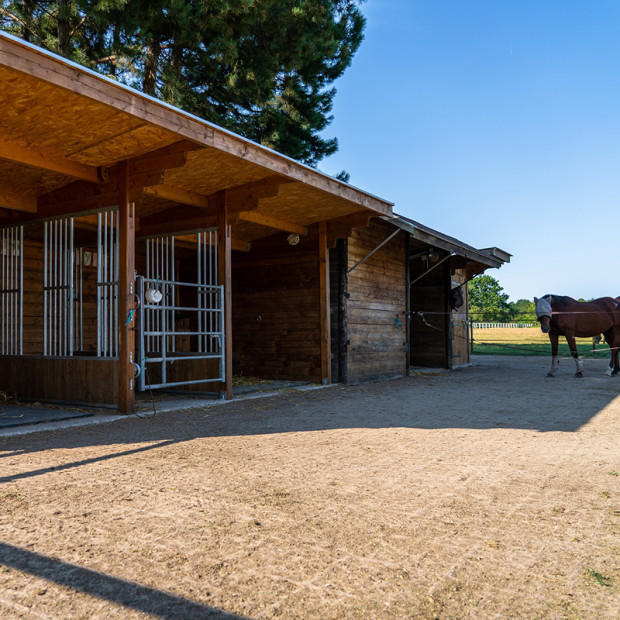 Dalle de stabilisation polyvalente ECORASTER TE40XXL