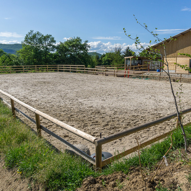 Dalle pour sols équestres ECORASTER TR40