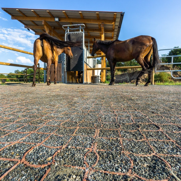 Dalle de stabilisation polyvalente ECORASTER TE40XXL