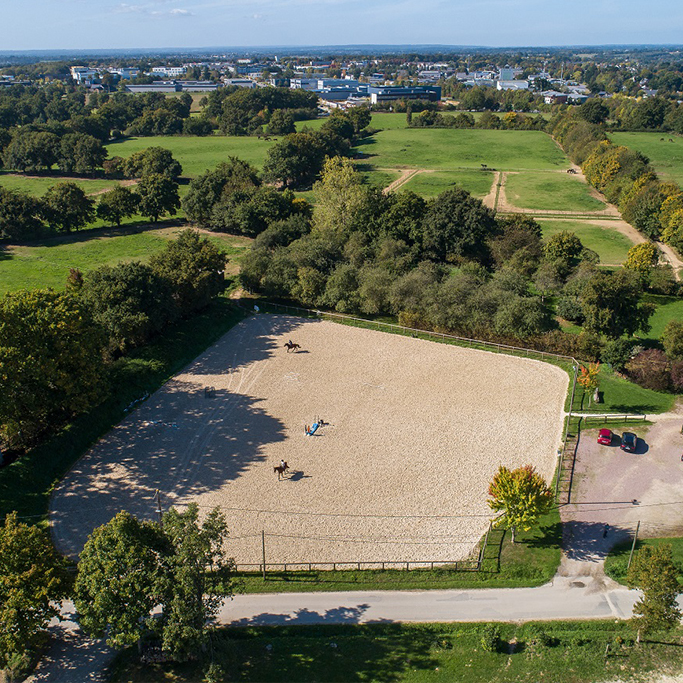 Carrière et manège équestre